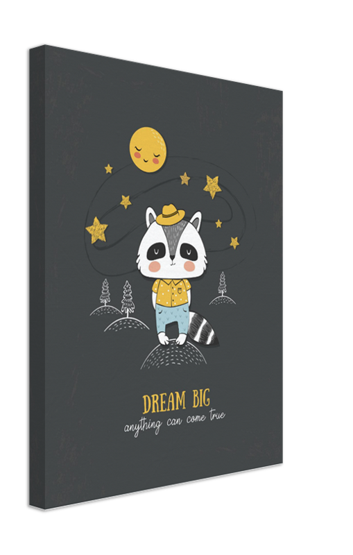 Il Procione Sognatore